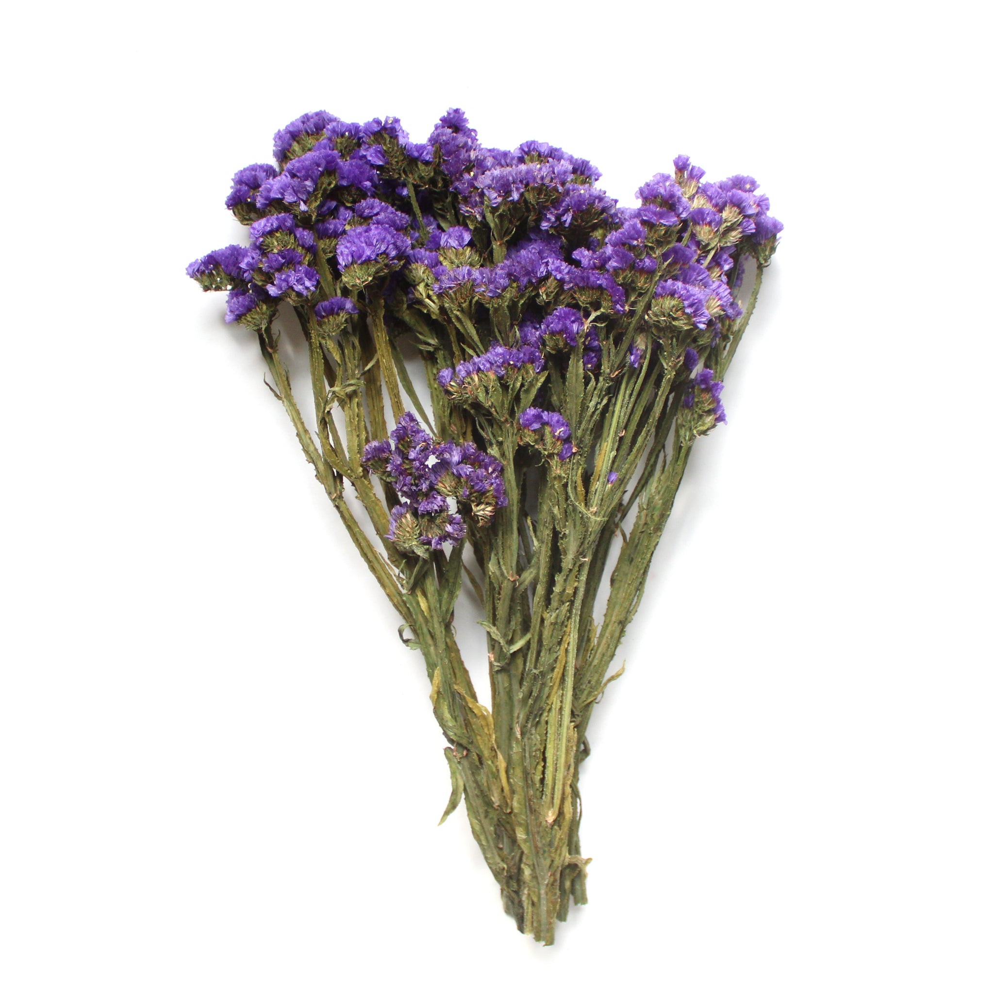 Dried Natural Blue Statice Flower by the bunch - DriedOut
