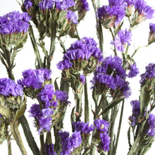 Load image into Gallery viewer, Preserved and Dyed Sinuata Statice - Purple
