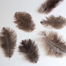 Load image into Gallery viewer, Ostrich Feather (9-12&quot;)
