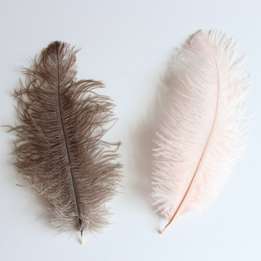 Ostrich Feather (9-12