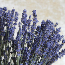 Load image into Gallery viewer, Lavender -  English Hidcote (Dried)
