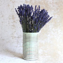 Load image into Gallery viewer, Lavender -  English Hidcote (Dried)
