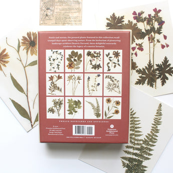 Herbaria Notecards: The Pressed Plant Collection of Beatrix Farrand
