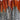 Lady Amherst Pheasant Feather Red