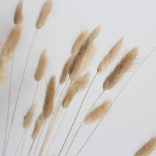 Load image into Gallery viewer, Bunny Tails
