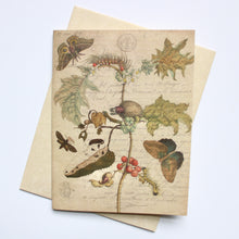 Load image into Gallery viewer, Vintage Cards - Botanical
