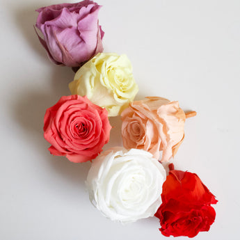 Preserved Rose 1.5"