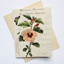 Load image into Gallery viewer, Vintage Cards - Botanical
