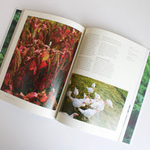Load image into Gallery viewer, A Garden Can Be Anywhere: Creating Bountiful &amp; Beautiful Edible Gardens
