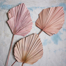 Load image into Gallery viewer, Palm Fronds - Anahaw 55&quot; (Local Pickup Only)
