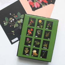Load image into Gallery viewer, Paper Flowers Notecards: 12 Flat Cards &amp; Envelopes
