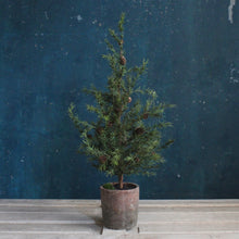 Load image into Gallery viewer, Faux Evergreen Tabletop Trees
