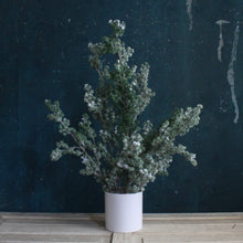 Load image into Gallery viewer, Faux Evergreen Tabletop Trees
