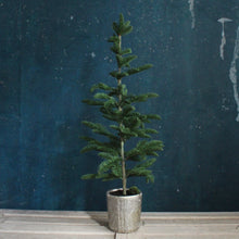 Load image into Gallery viewer, Faux Evergreen Tabletop Trees
