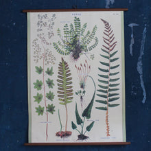 Load image into Gallery viewer, Vintage School Chart
