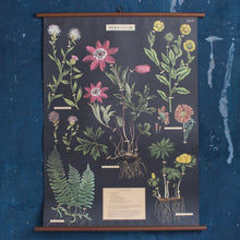 Load image into Gallery viewer, Vintage School Chart
