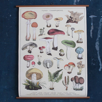 Vintage School Chart