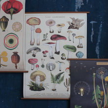 Load image into Gallery viewer, Vintage School Chart
