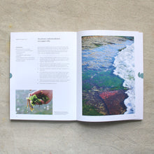 Load image into Gallery viewer, Eat Weeds: a field guide to foraging: how to identify, harvest, eat and use wild plants.

