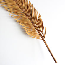 Load image into Gallery viewer, Palm Fronds - Sago
