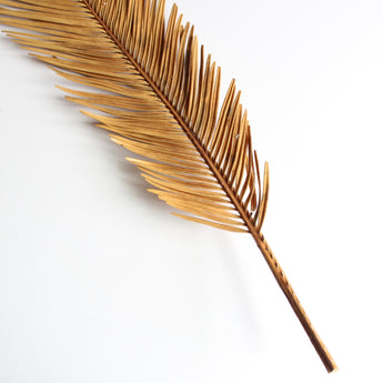 Sago Palm Frond