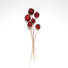 Load image into Gallery viewer, Pomegranates on Stems
