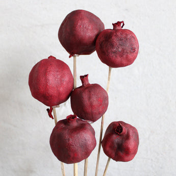 Dried Pomegranate on Stem