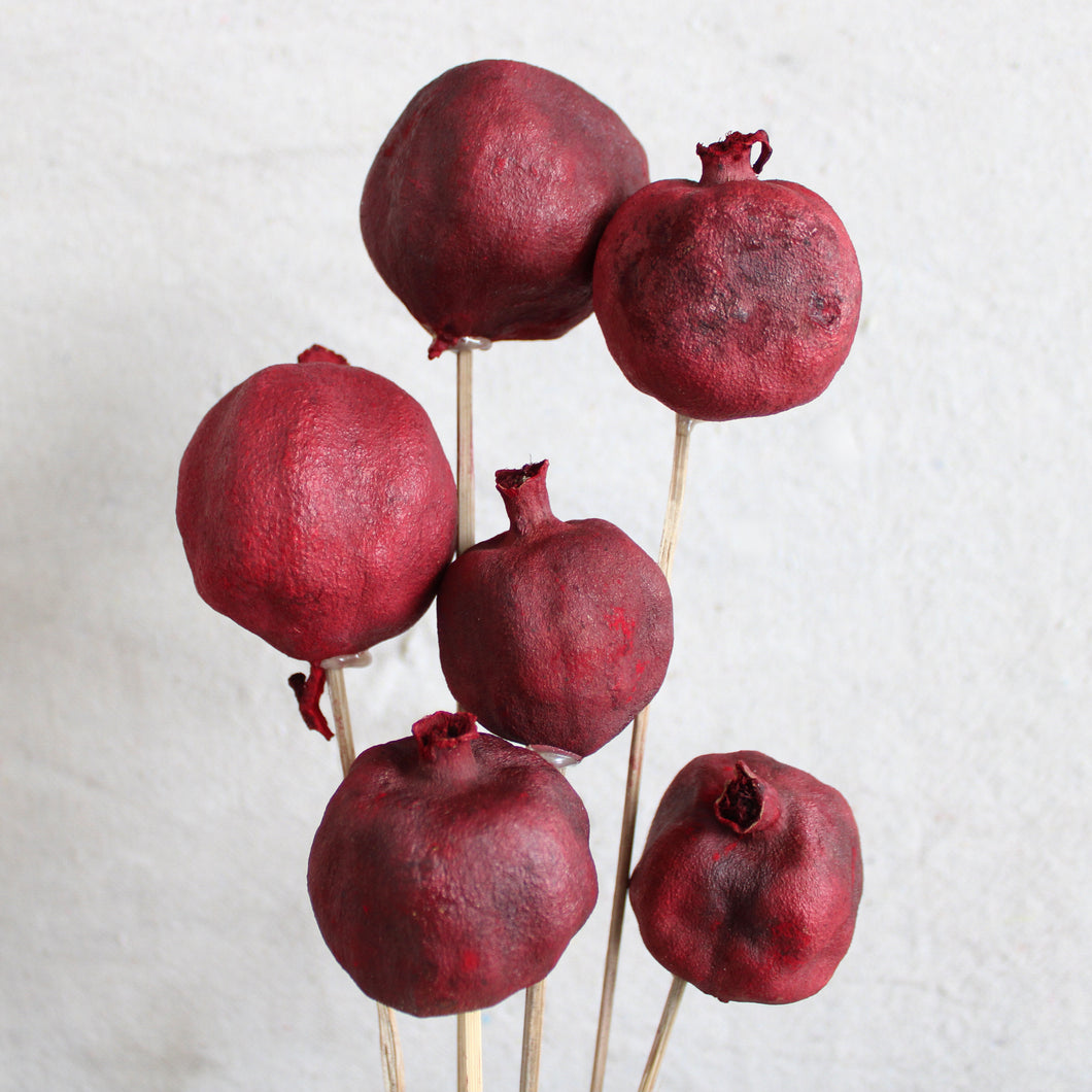 Pomegranates on Stems