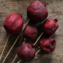 Load image into Gallery viewer, Pomegranates on Stems
