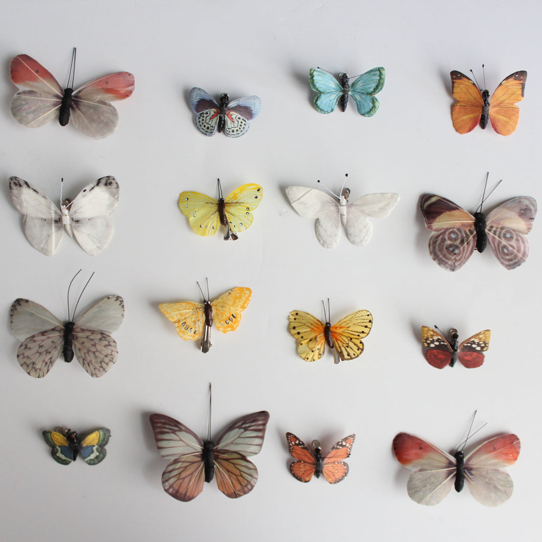 Butterflies (Paper & Feather)