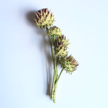 Load image into Gallery viewer, Artichokes on Natural Stems
