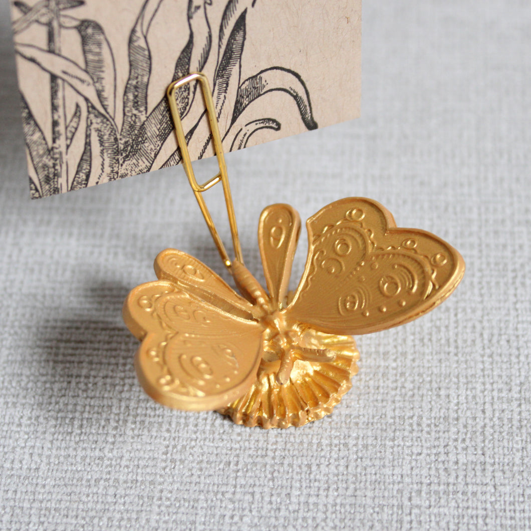 Little Butterfly - Austin Press