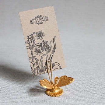 Little Butterfly - Austin Press