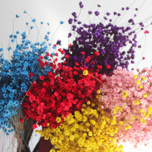 Load image into Gallery viewer, Star Flowers
