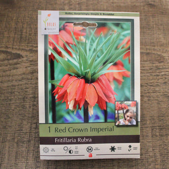 Bulbs - Fritillaria