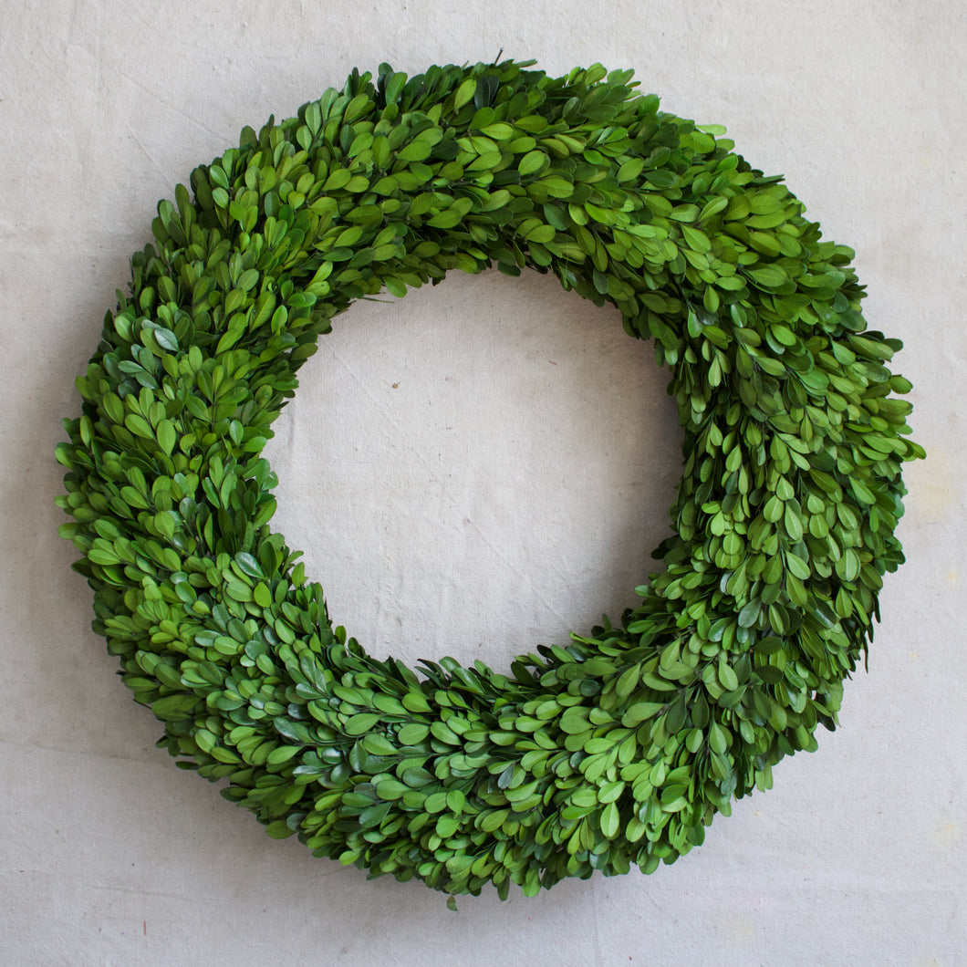 Preserved Boxwood Wreath 20