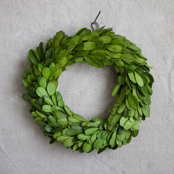 Petite Preserved Boxwood Wreath