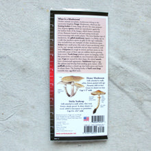Load image into Gallery viewer, Common Mushrooms Of The Northeast
