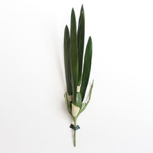 Load image into Gallery viewer, Faux Orchid Collection
