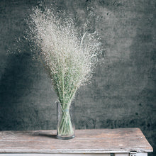 Load image into Gallery viewer, Rice Grass - Dried
