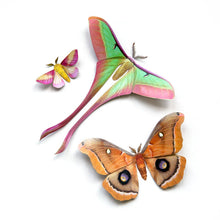 Load image into Gallery viewer, Paper Butterfly Specimen
